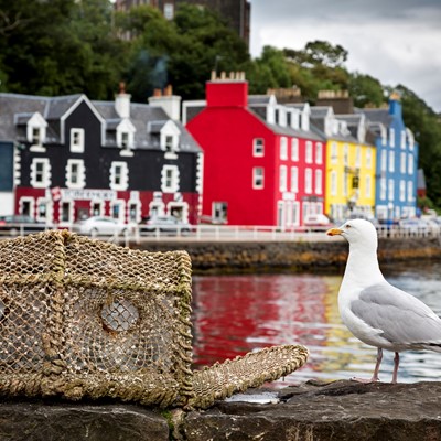 tobermory_Mull.jpg