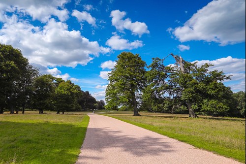 Windsor Great Park