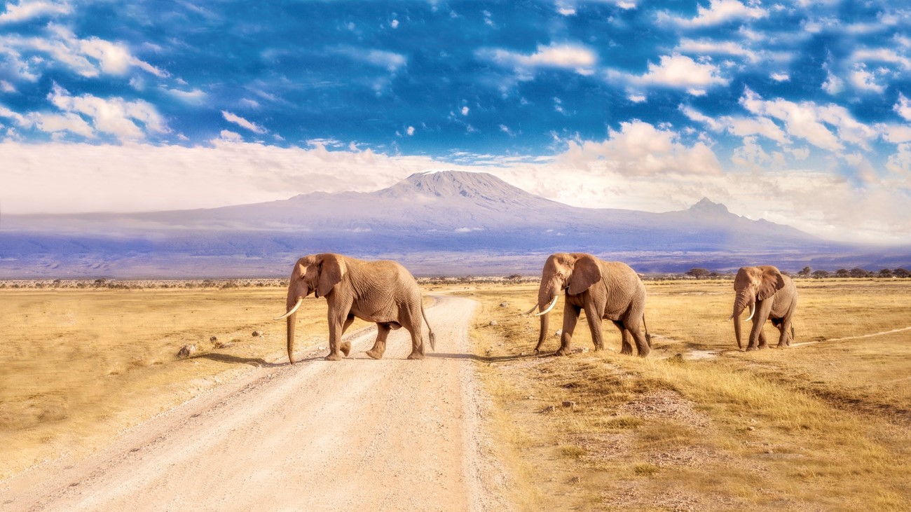 Kruger National Park, Southern Africa 