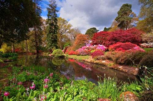 Exbury Garden