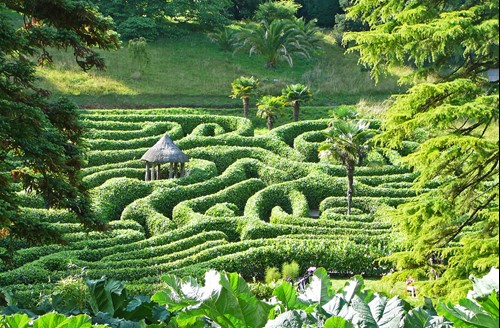 The maze at Glendrugan, Cornwall