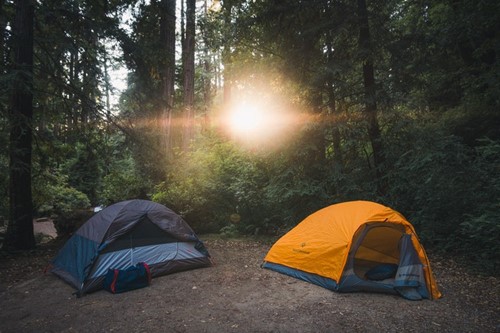 tents in woods