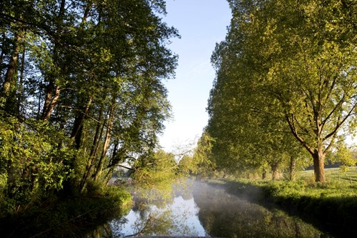 Freedom To Go and the Woodland Trust